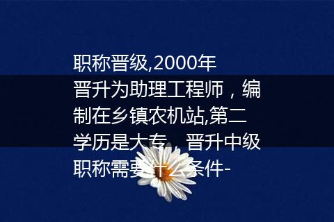 职称晋级,2000年晋升为助理工程师，编制在乡镇农机站,第二学历是大专，晋升中级职称需要什么条件-