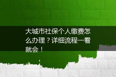 大城市社保个人缴费怎么办理？详细流程一看就会！