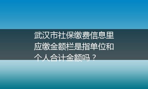 武汉市社保缴费信息里应缴金额栏是指单位和个人合计金额吗？