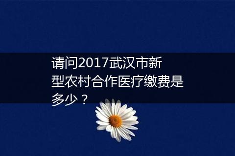 请问2017武汉市新型农村合作医疗缴费是多少？