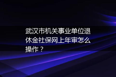 武汉市机关事业单位退休金社保网上年审怎么操作？