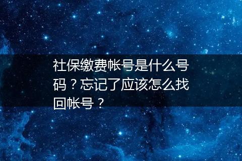 社保缴费帐号是什么号码？忘记了应该怎么找回帐号？