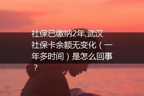 社保已缴纳2年,武汉社保卡余额无变化（一年多时间）是怎么回事？