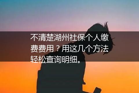 不清楚湖州社保个人缴费费用？用这几个方法轻松查询明细。