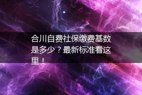 合川自费社保缴费基数是多少？最新标准看这里！