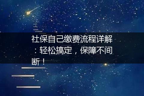 社保自己缴费流程详解：轻松搞定，保障不间断！