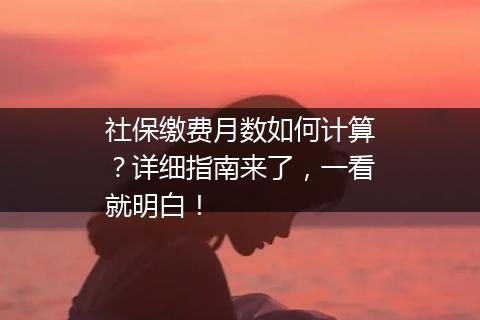 社保缴费月数如何计算？详细指南来了，一看就明白！