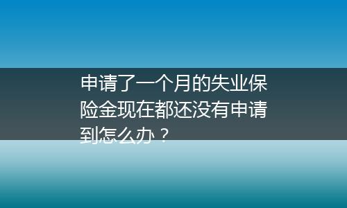 申请了一个月的失业保险金现在都还没有申请到怎么办？