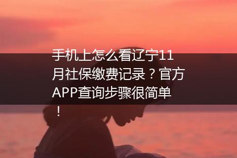 手机上怎么看辽宁11月社保缴费记录？官方APP查询步骤很简单！