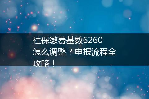 社保缴费基数6260怎么调整？申报流程全攻略！