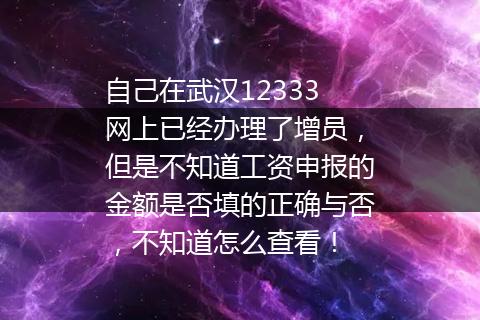 自己在武汉12333网上已经办理了增员，但是不知道工资申报的金额是否填的正确与否，不知道怎么查看！
