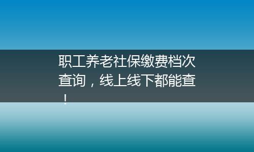 职工养老社保缴费档次查询，线上线下都能查！
