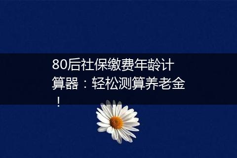 80后社保缴费年龄计算器：轻松测算养老金！