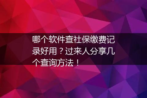 哪个软件查社保缴费记录好用？过来人分享几个查询方法！