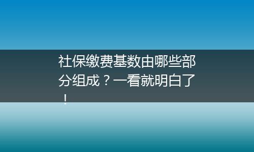 社保缴费基数由哪些部分组成？一看就明白了！