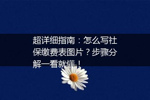 超详细指南：怎么写社保缴费表图片？步骤分解一看就懂！