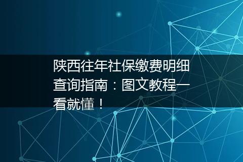 陕西往年社保缴费明细查询指南：图文教程一看就懂！