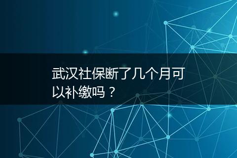武汉社保断了几个月可以补缴吗？