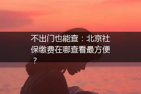不出门也能查：北京社保缴费在哪查看最方便？