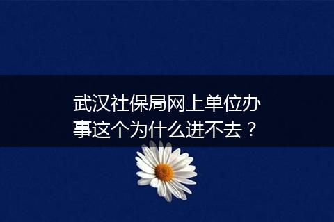 武汉社保局网上单位办事这个为什么进不去？