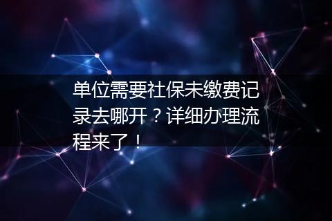 单位需要社保未缴费记录去哪开？详细办理流程来了！