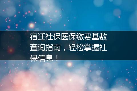宿迁社保医保缴费基数查询指南，轻松掌握社保信息！