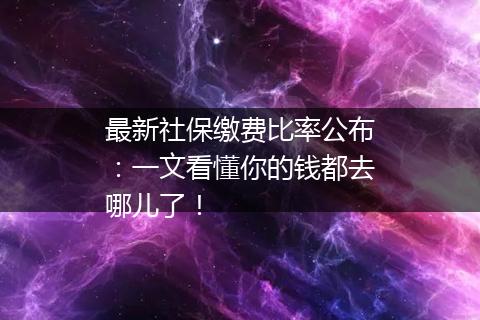 最新社保缴费比率公布：一文看懂你的钱都去哪儿了！