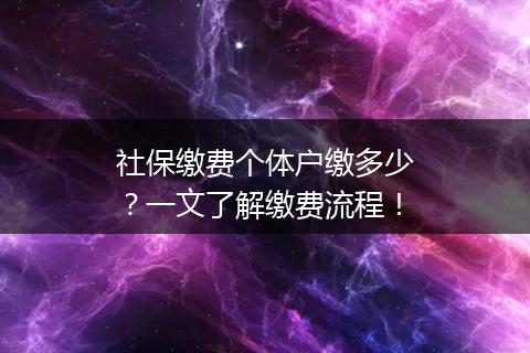 社保缴费个体户缴多少？一文了解缴费流程！