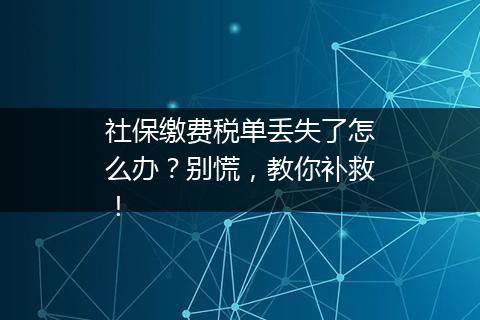 社保缴费税单丢失了怎么办？别慌，教你补救！