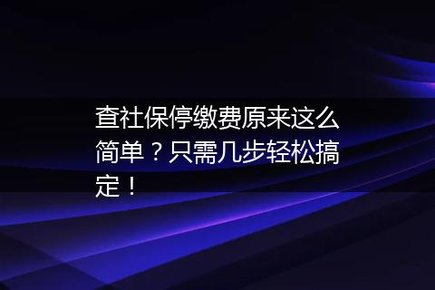 查社保停缴费原来这么简单？只需几步轻松搞定！