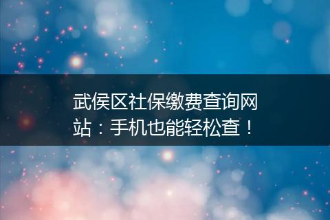 武侯区社保缴费查询网站：手机也能轻松查！