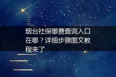 烟台社保缴费查询入口在哪？详细步骤图文教程来了