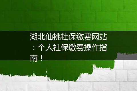 湖北仙桃社保缴费网站：个人社保缴费操作指南！