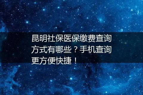 昆明社保医保缴费查询方式有哪些？手机查询更方便快捷！