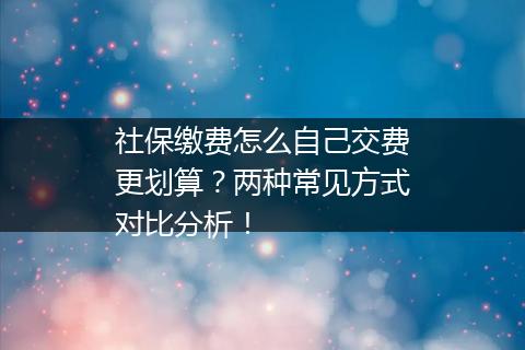 社保缴费怎么自己交费更划算？两种常见方式对比分析！