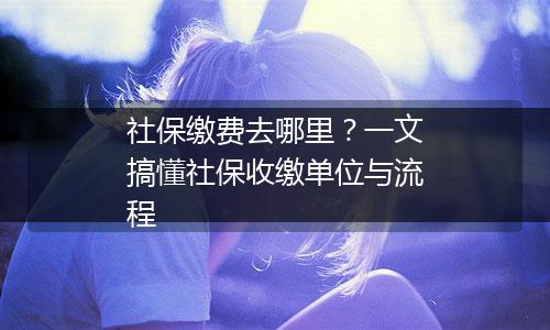 社保缴费去哪里？一文搞懂社保收缴单位与流程
