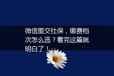 微信里交社保，缴费档次怎么选？看完这篇就明白了！