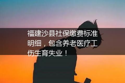 福建沙县社保缴费标准明细，包含养老医疗工伤生育失业！