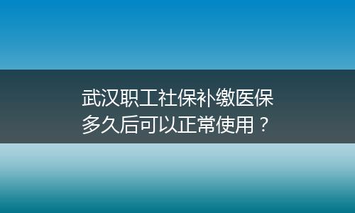 武汉职工社保补缴医保多久后可以正常使用？