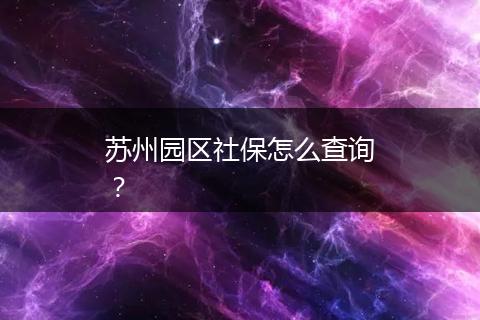 苏州园区社保怎么查询？