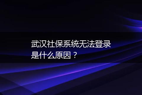 武汉社保系统无法登录是什么原因？