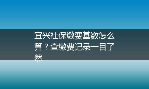 宜兴社保缴费基数怎么算？查缴费记录一目了然