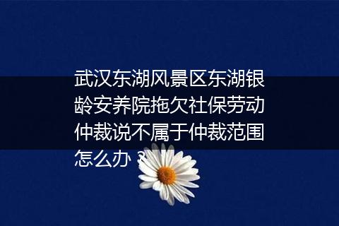 武汉东湖风景区东湖银龄安养院拖欠社保劳动仲裁说不属于仲裁范围怎么办？