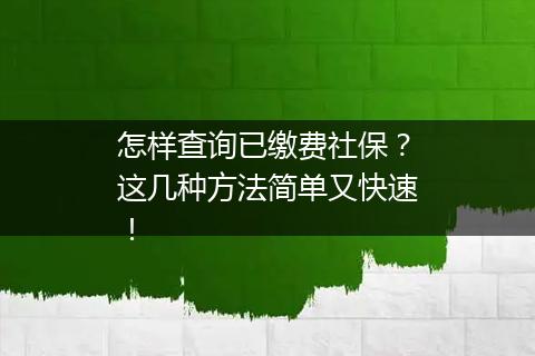 怎样查询已缴费社保？这几种方法简单又快速！