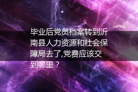 毕业后党员档案转到沂南县人力资源和社会保障局去了,党费应该交到哪里？