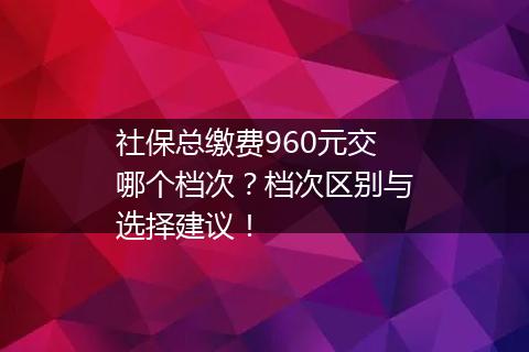 社保总缴费960元交哪个档次？档次区别与选择建议！