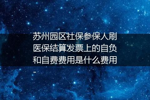 苏州园区社保参保人刷医保结算发票上的自负和自费费用是什么费用-