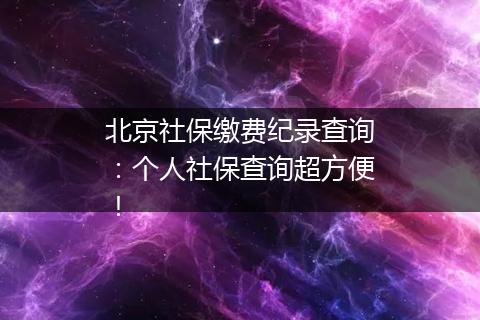 北京社保缴费纪录查询：个人社保查询超方便！