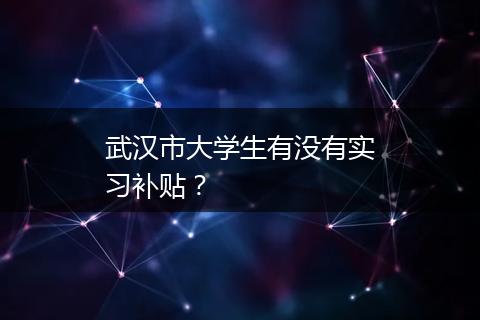 武汉市大学生有没有实习补贴？