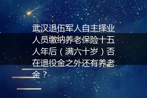 武汉退伍军人自主择业人员缴纳养老保险十五人年后（满六十岁）否在退役金之外还有养老金？